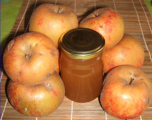 Gelée de pomme au cidre