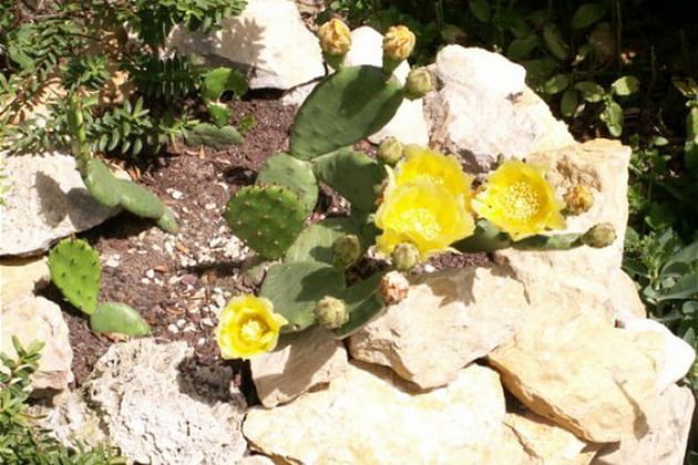 Attention, &ccedil;a pique&nbsp;!