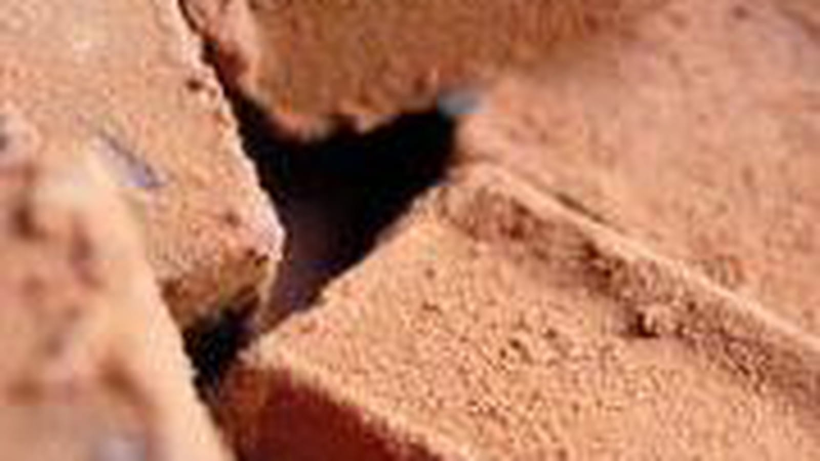 Truffes au poivre