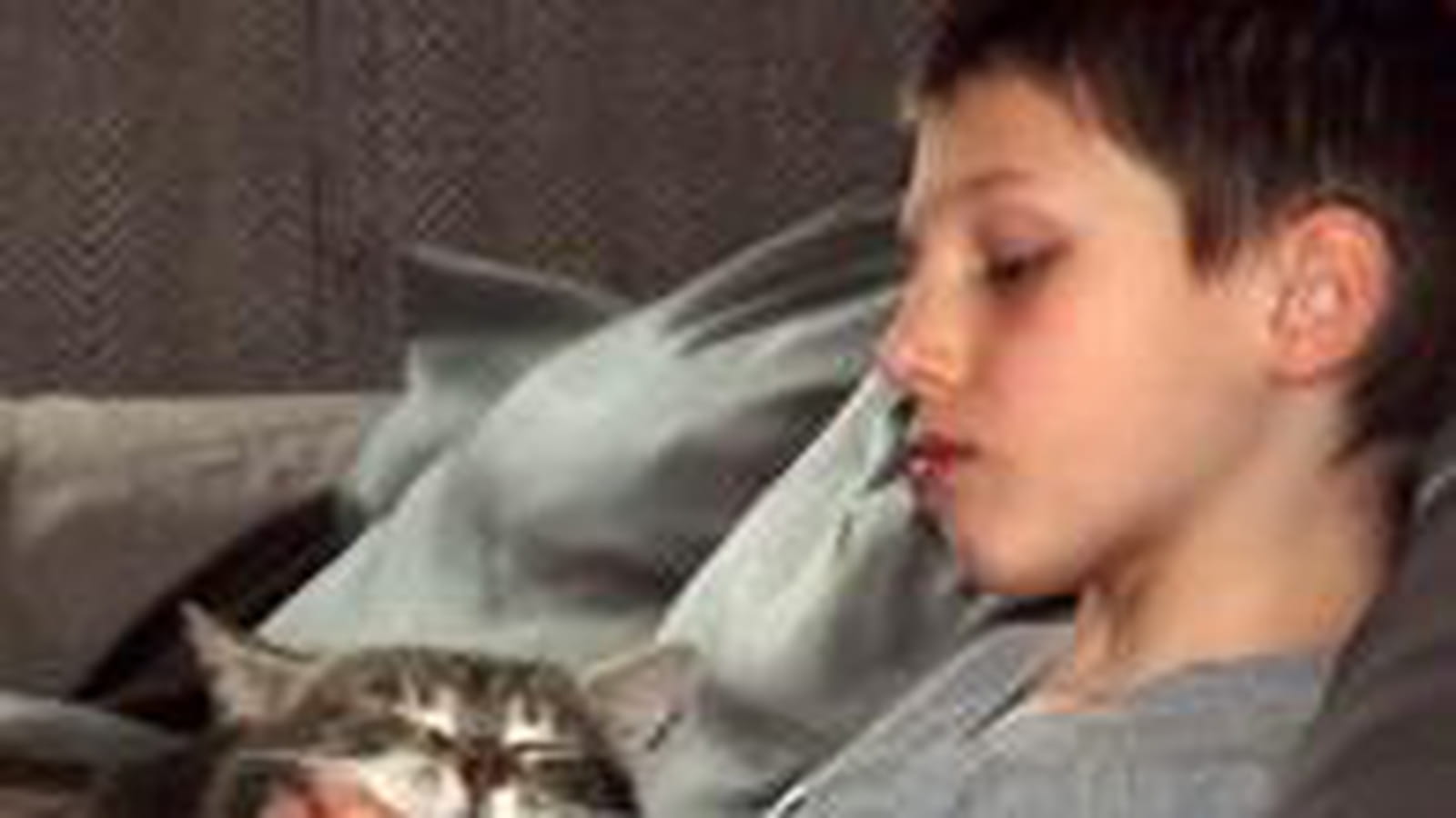 Dure, la vie de chat !