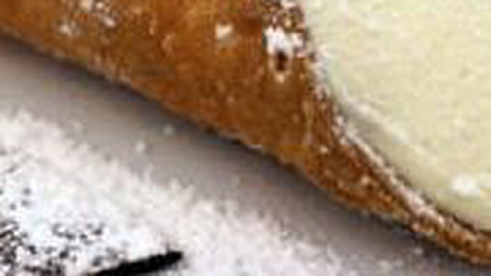 Cannolicchi