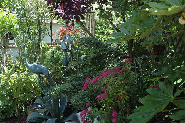 Un merveilleux jardin aux harmonies inhabituelles et surprenantes