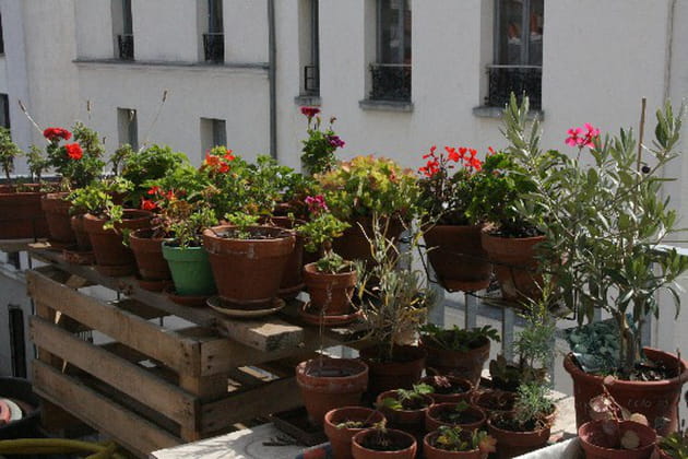 Une ribambelle de pots