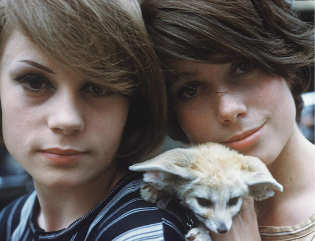 Amies des b&ecirc;tes