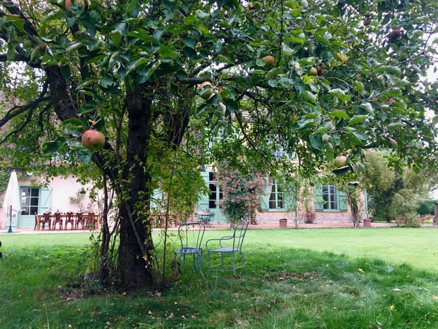 A l'ombre du pommier