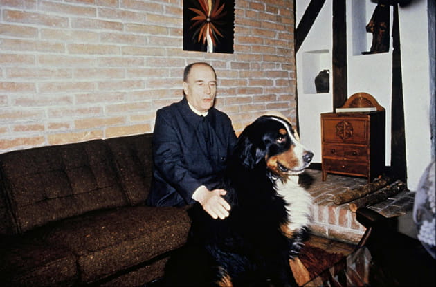 Un amoureux des chiens, même ceux qui ne sont pas les siens