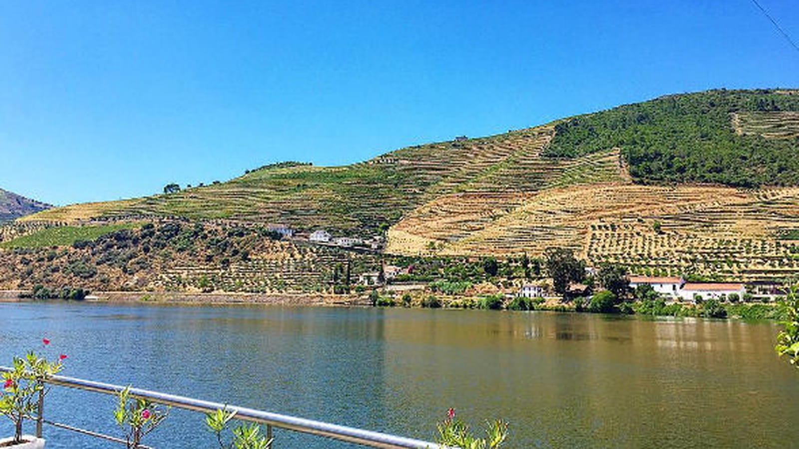 Jean-François Piège, dans la vallée du Douro
