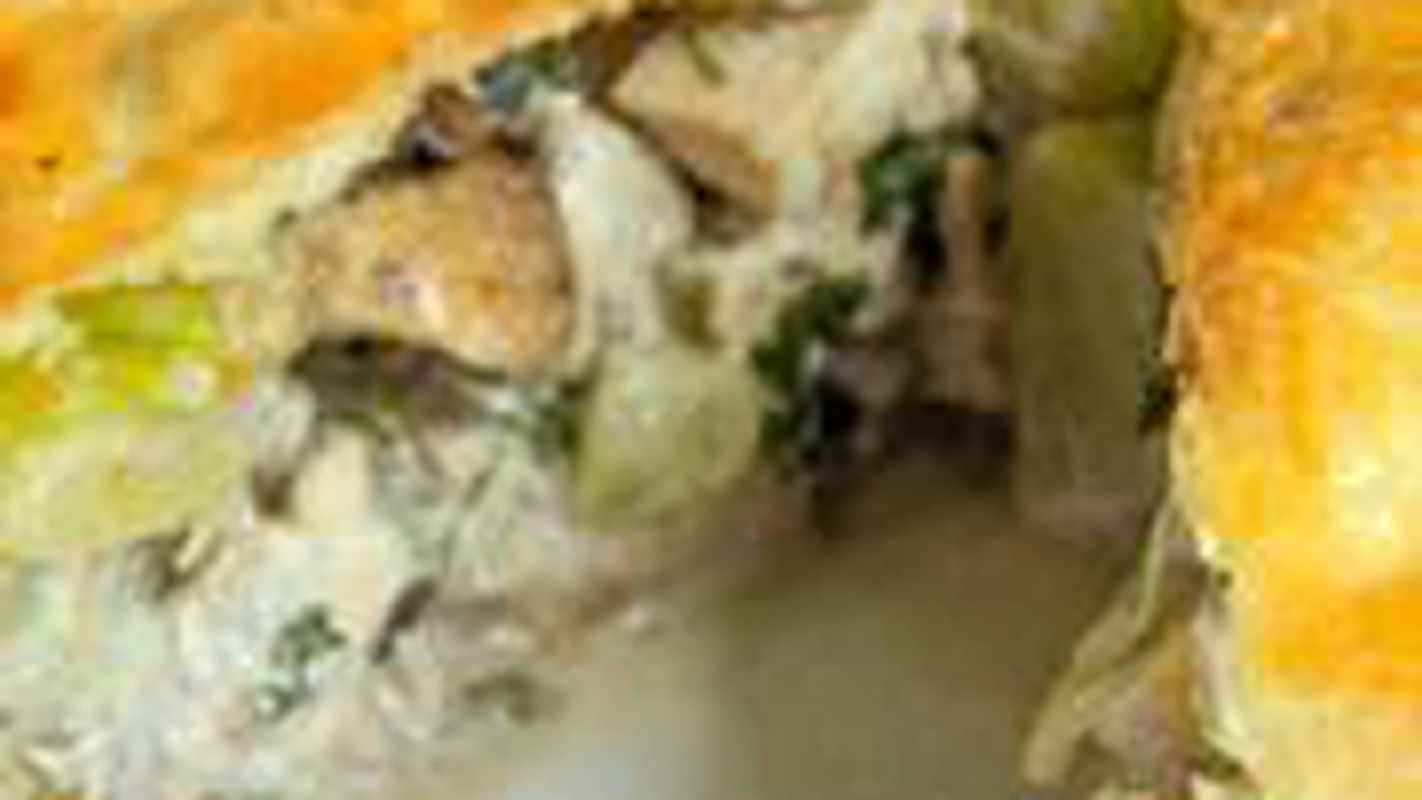 Tourte au poulet, aux champignons et aux courgettes