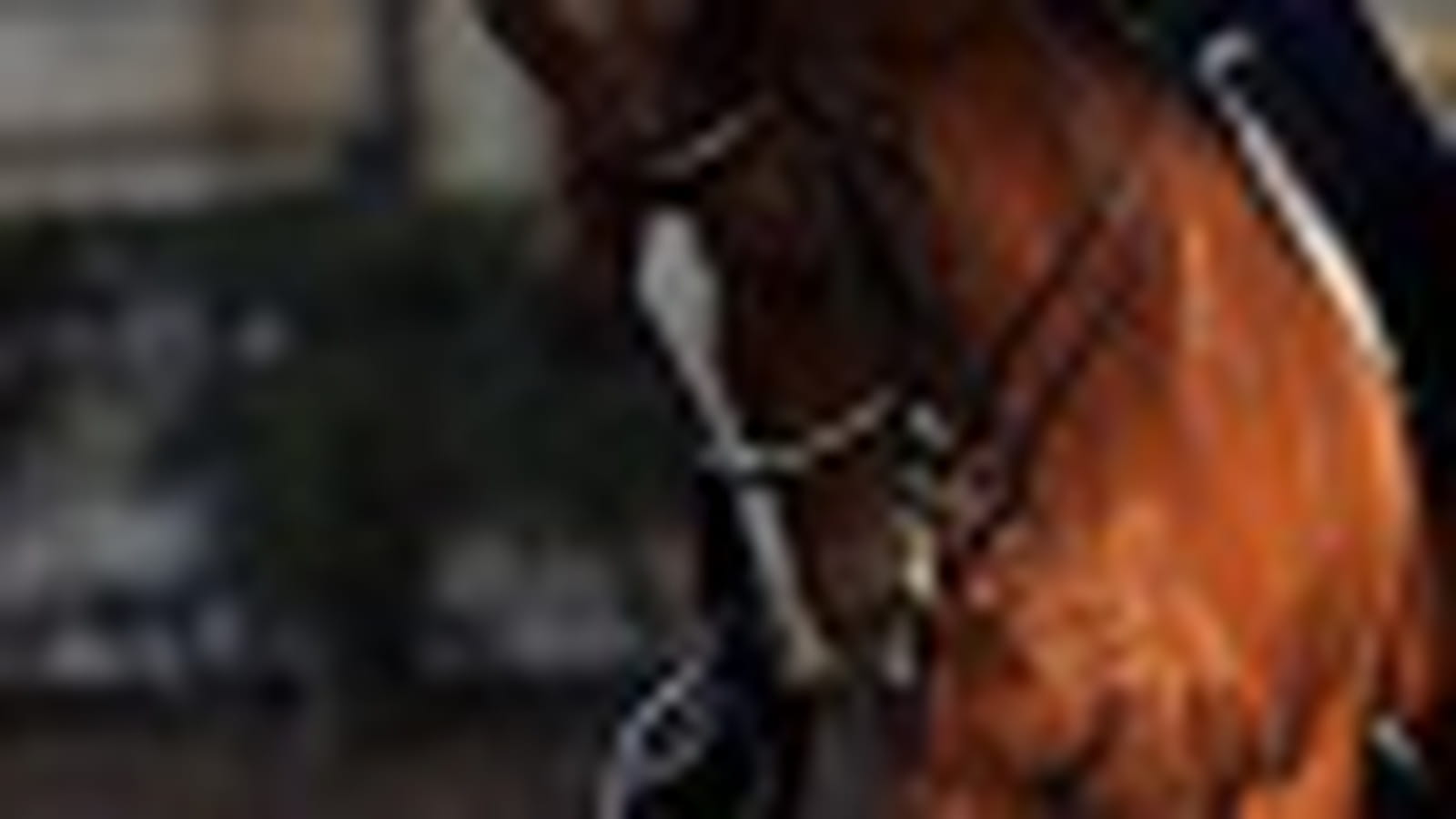 Trot