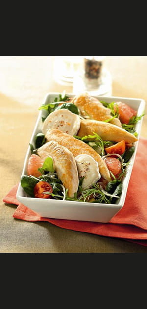 Salade fra&icirc;cheur aiguillettes de poulet