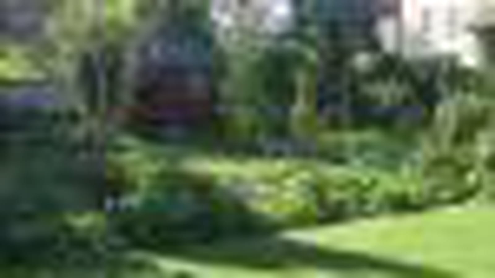 Vue d'ensemble