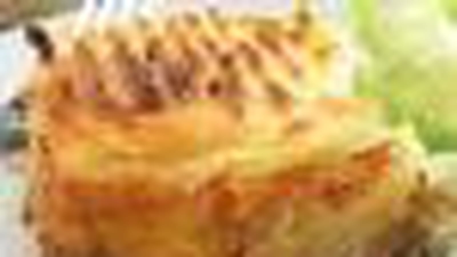 Parmentier