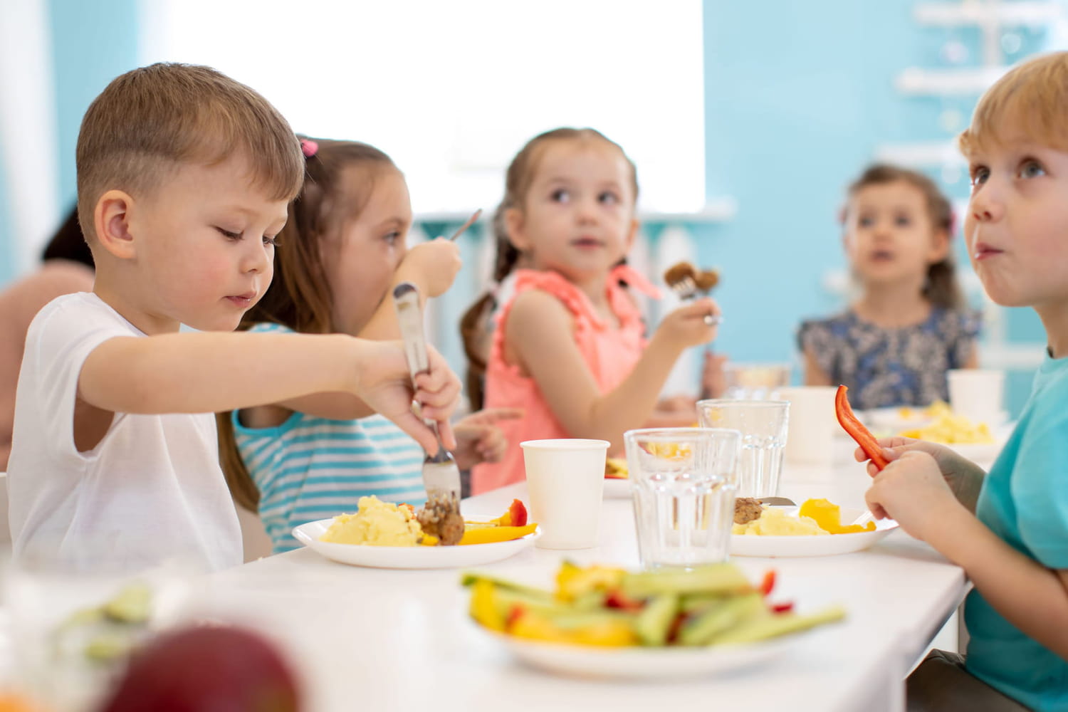 Cantines scolaires : quel protocole pour les repas à l'école ?