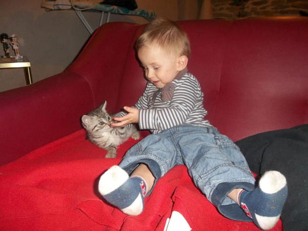 Une petite léchouille par ci, par là...