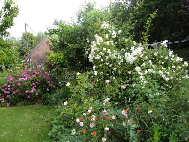 Visitez le jardin anglais de Michelle