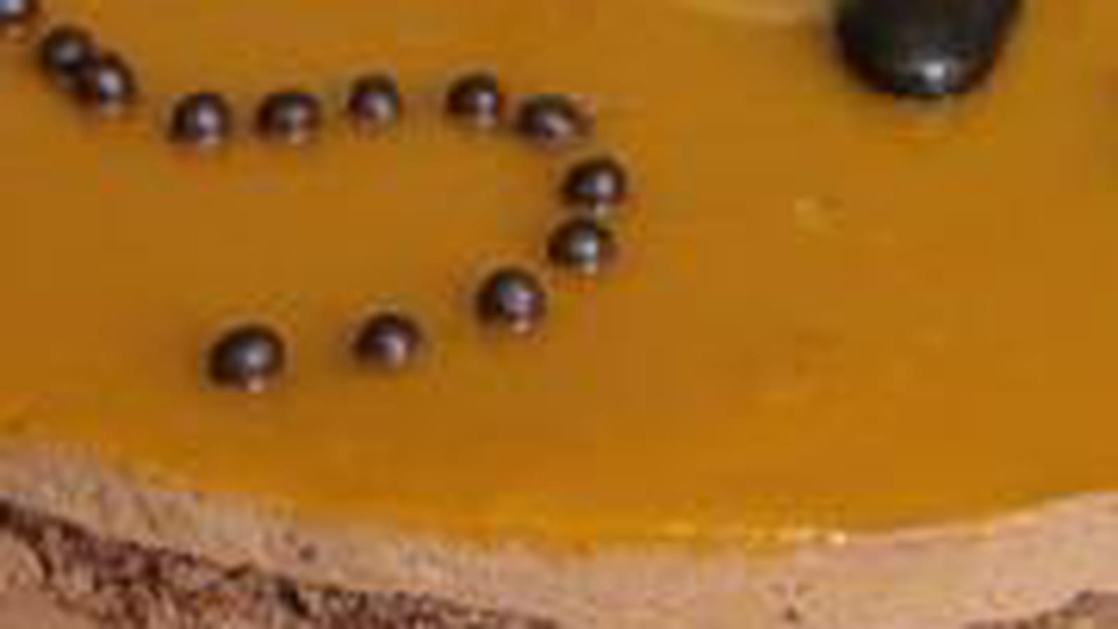 Entremets Chocolat mangue