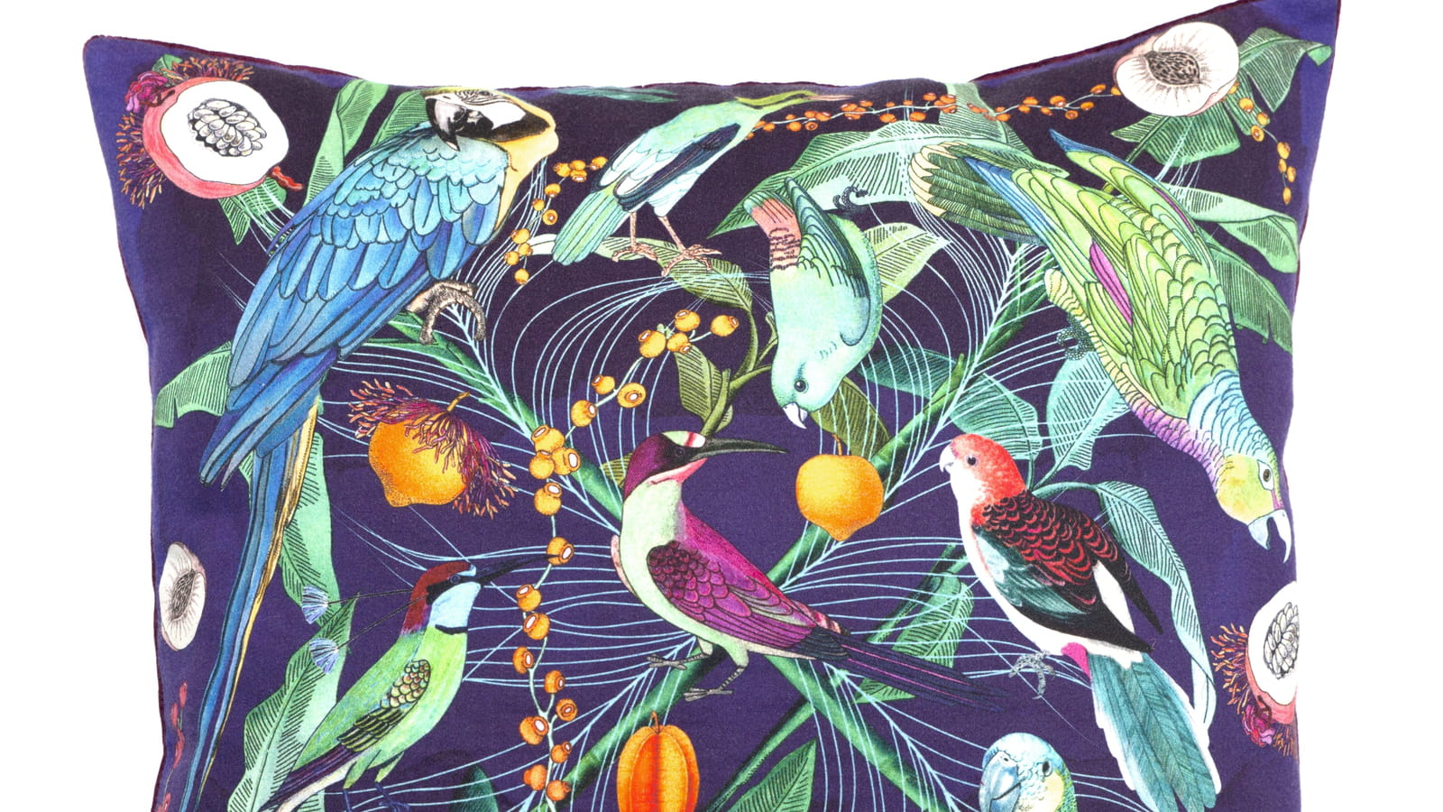 Coussin oiseaux