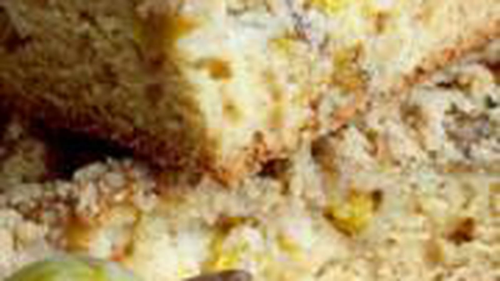 Crumble