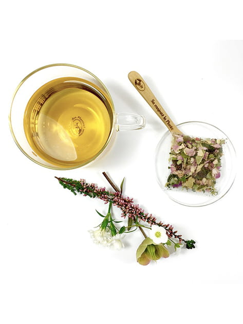 Belle plante, Chic des plantes