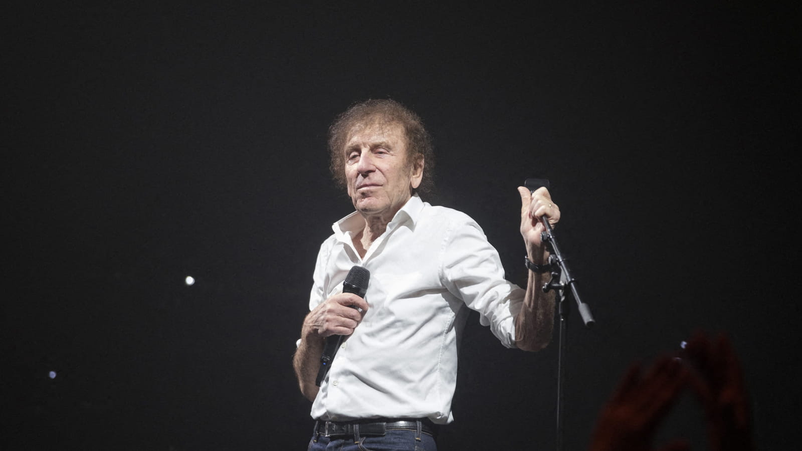 Alain Souchon