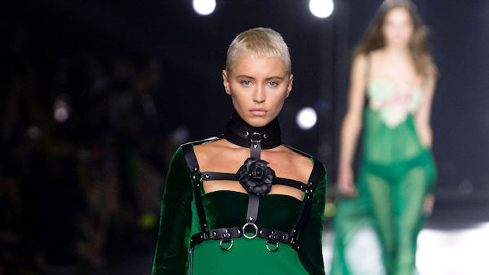 Roberto Cavalli
