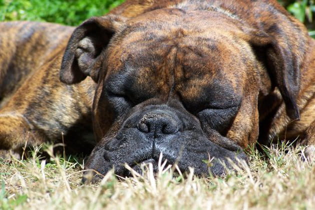 La potion magique du bonheur