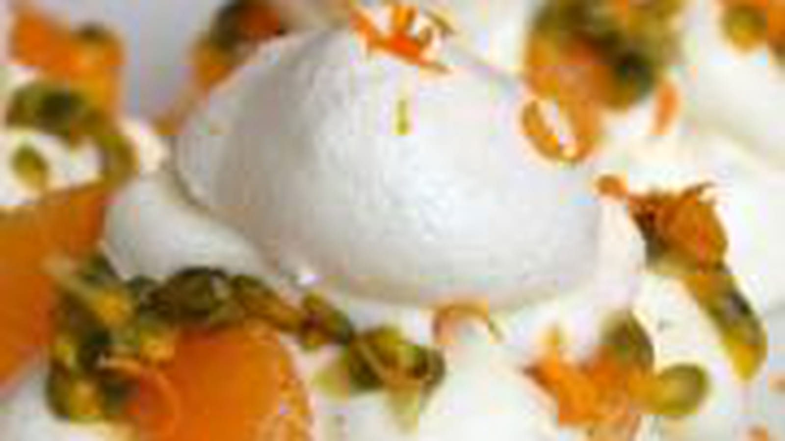 Pavlovas clémentine fruits de la passion