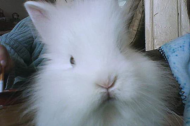 Coiffure &eacute;lectrique