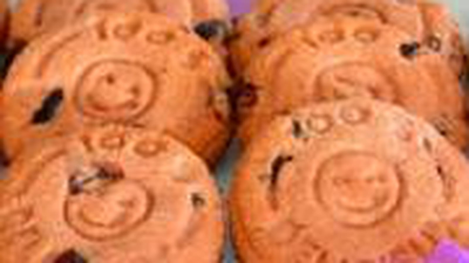 Biscuits à la poudre de biscuit