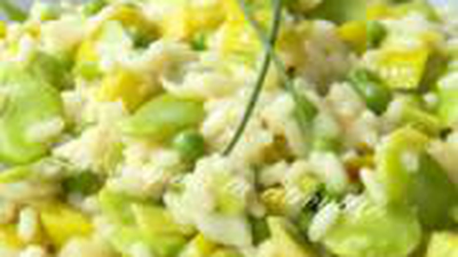 Risotto de printemps fèves et petits pois