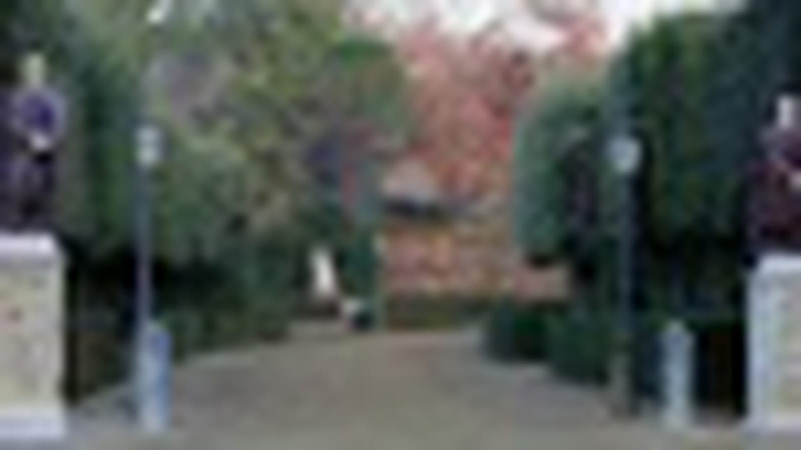 Entrée