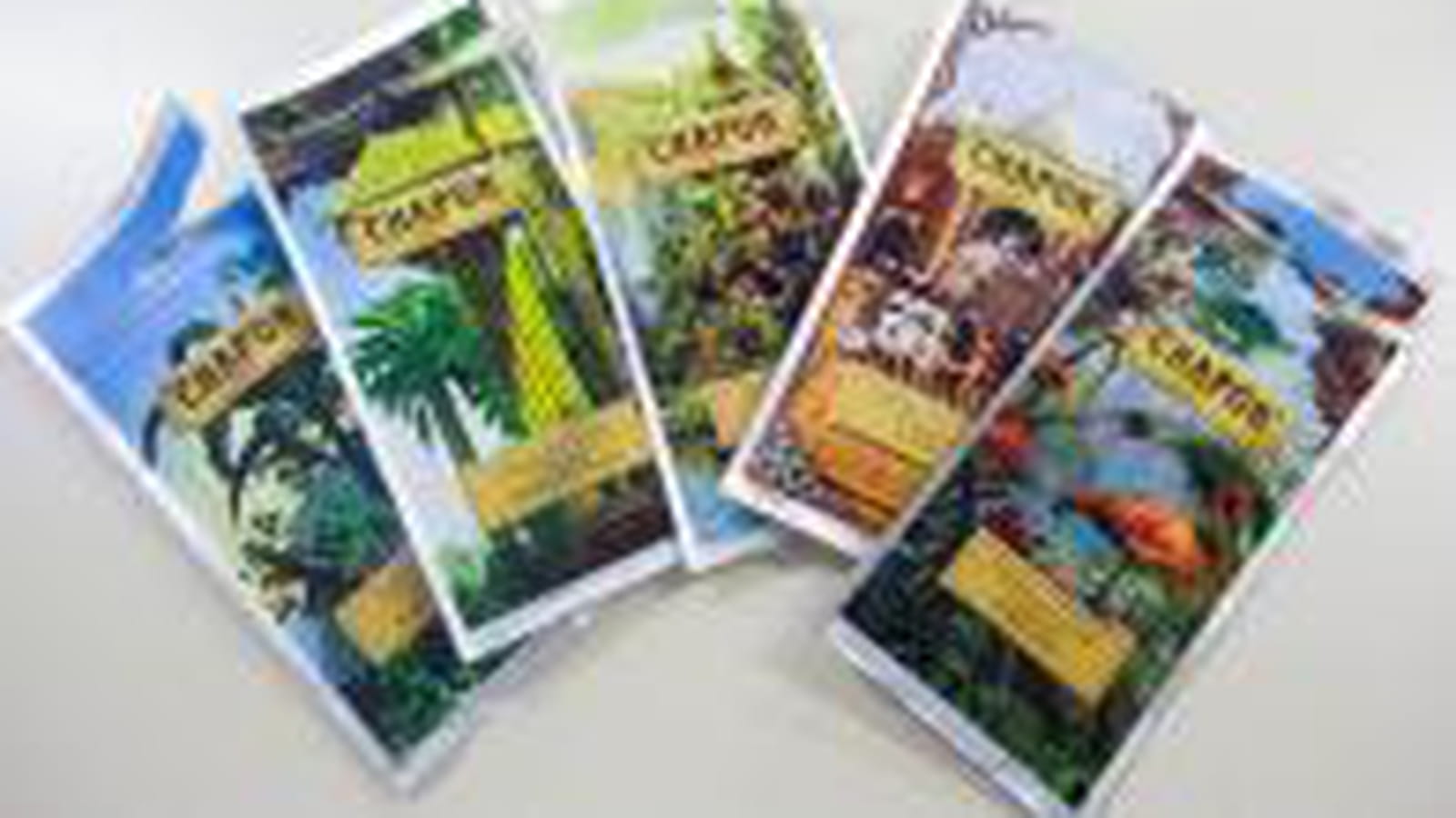 5 chocolats noirs
