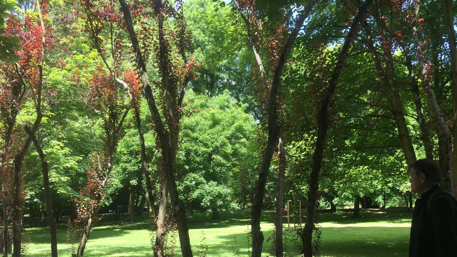 Jardin travaillé