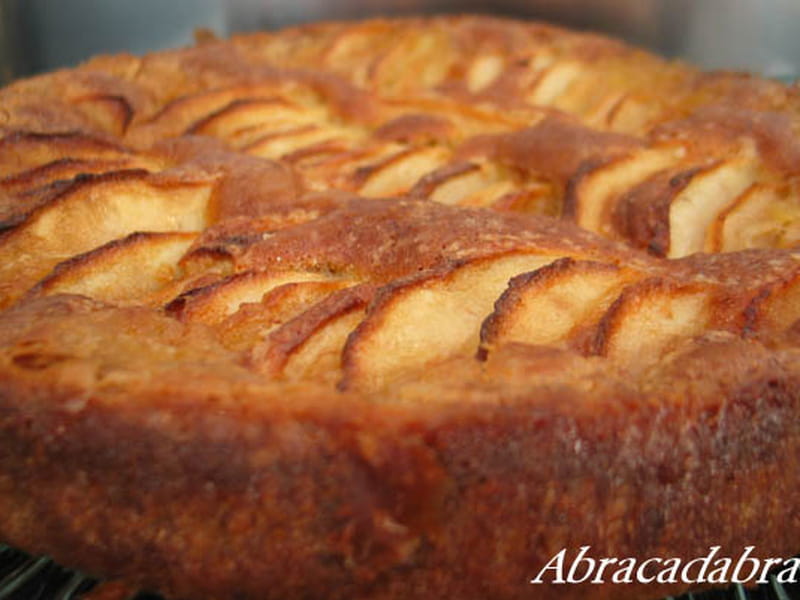 Recette De Gateau Aux Pommes Tout Simple La Recette Facile