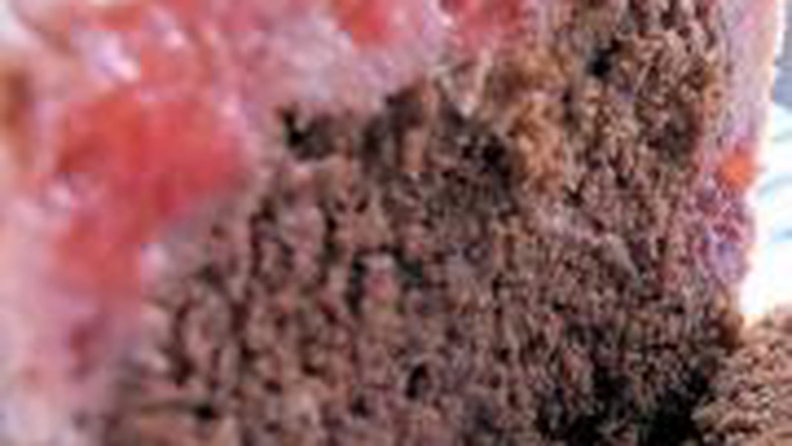 Chocolat-fraise