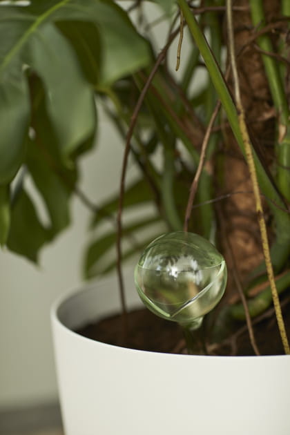 Un système d'arrosage Aqua Care d'elho