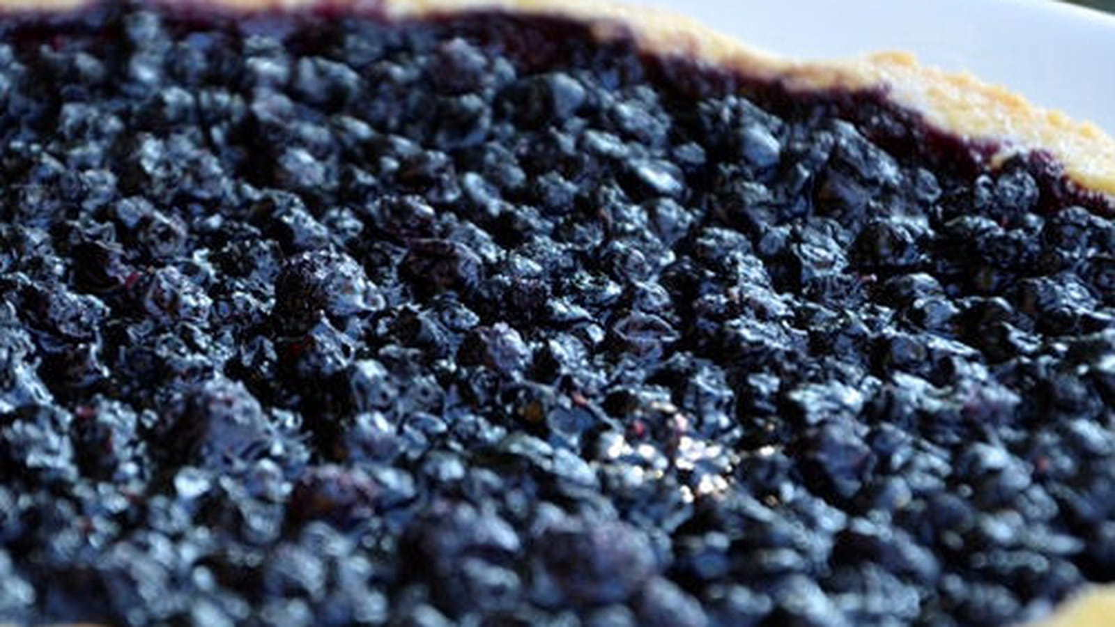 Tarte aux myrtilles sauvages