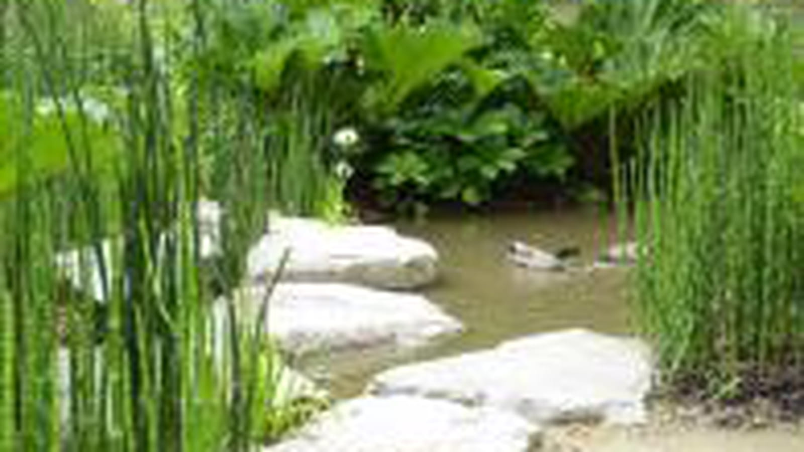 Jardin romantique