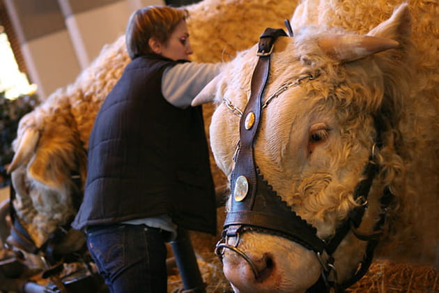 Elle a un peu la grosse t&ecirc;te