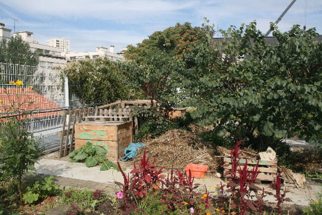 Compostage obligatoire