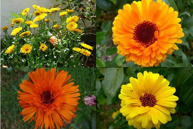 Y a pas de soucis&nbsp;!