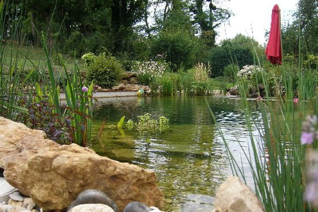 Une baignade naturelle