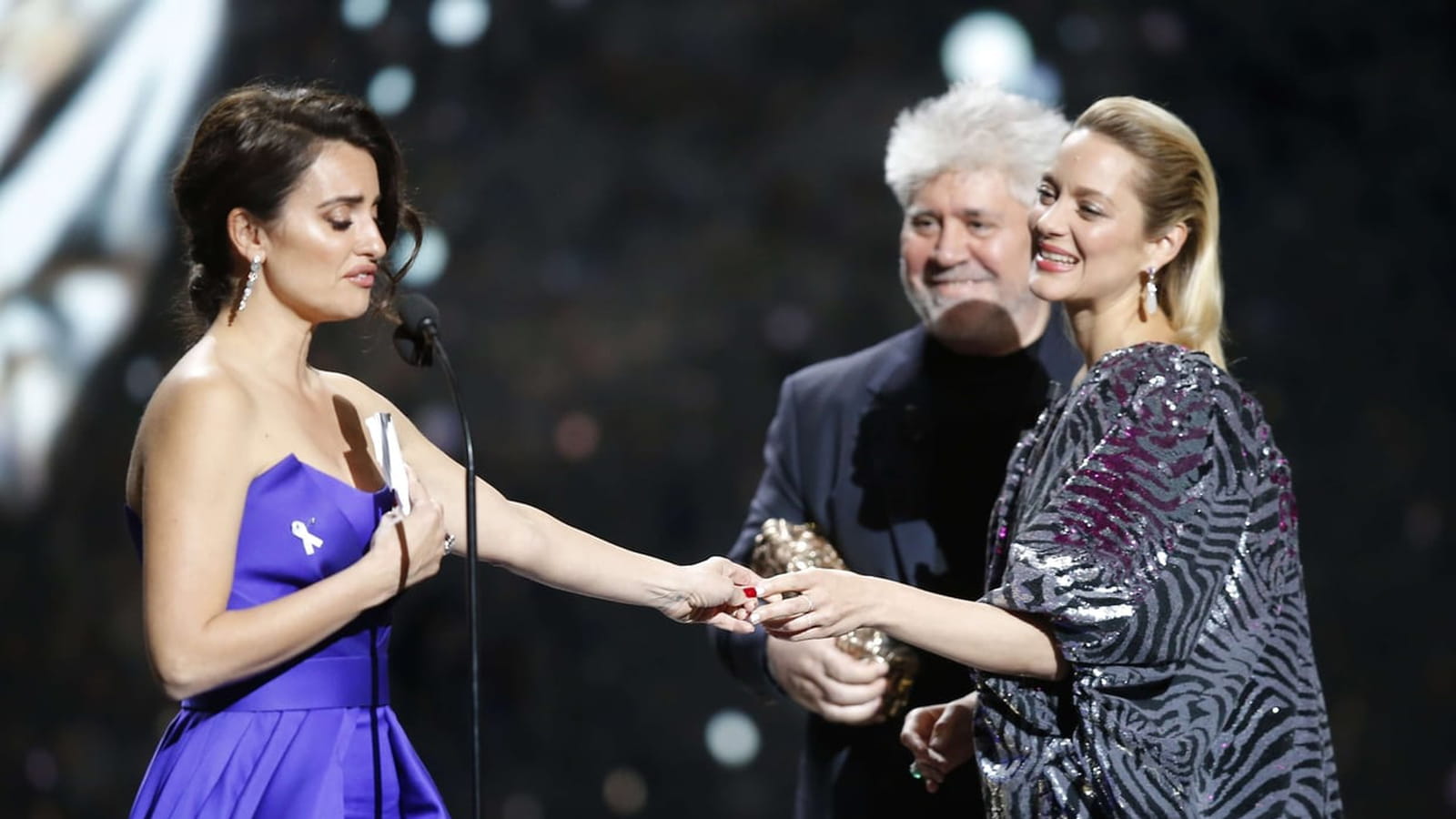 Penélope Cruz, amoureuse de Marion Cotillard 