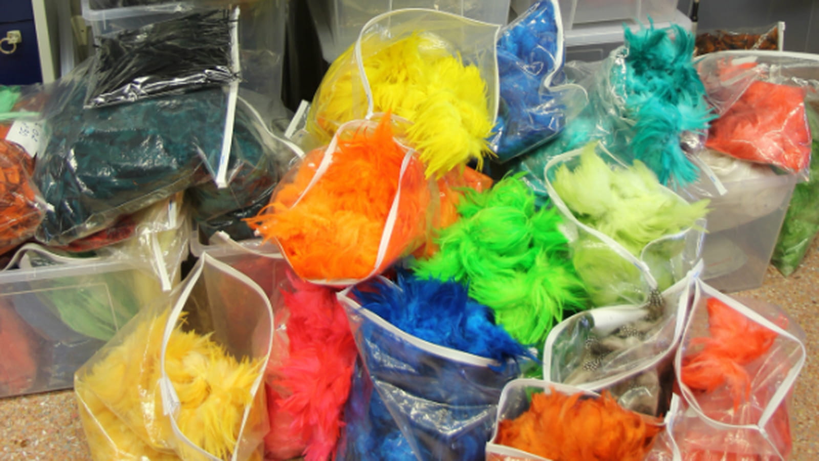 Plumes colorées