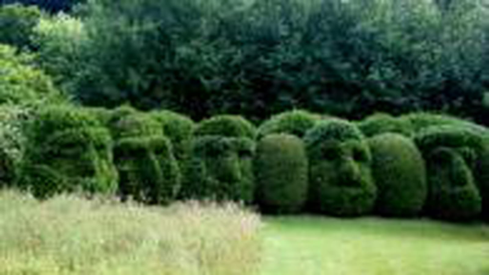 Jardins de Séricourt