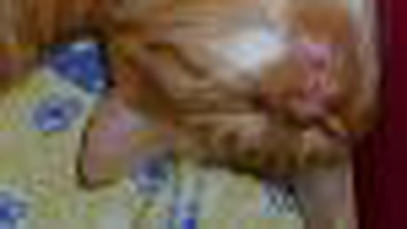 Chat de Riche