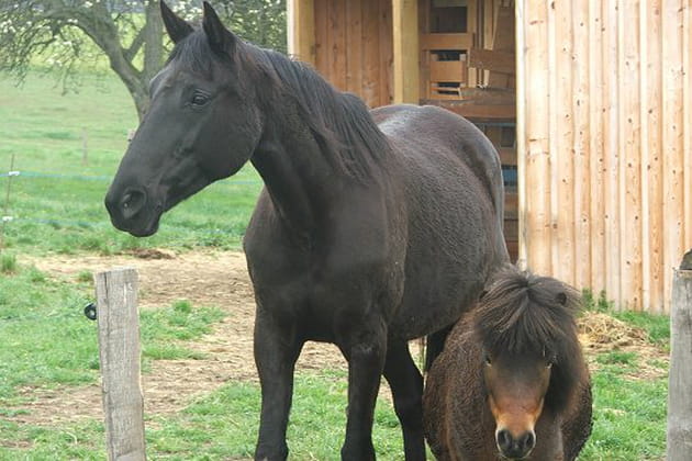 Une &eacute;toile noire