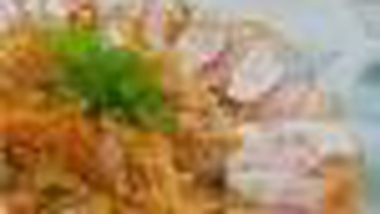 Salade-carotte-thon-orange