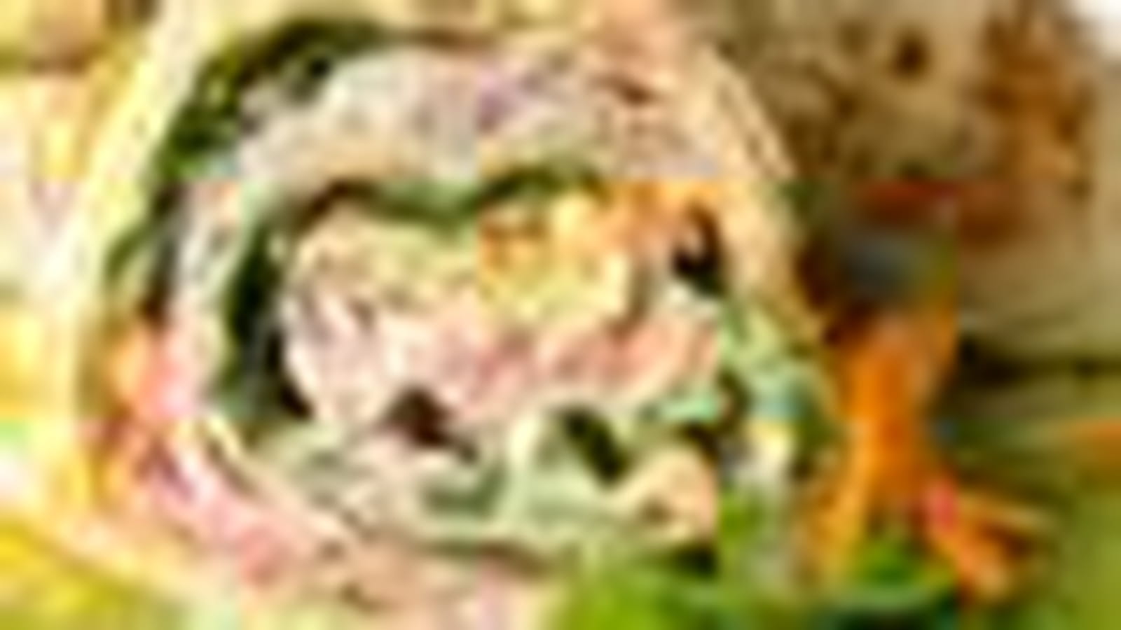 Salade-carotte
