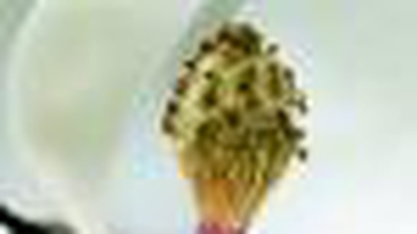 Coeur de magnolia